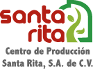 logo-santarita